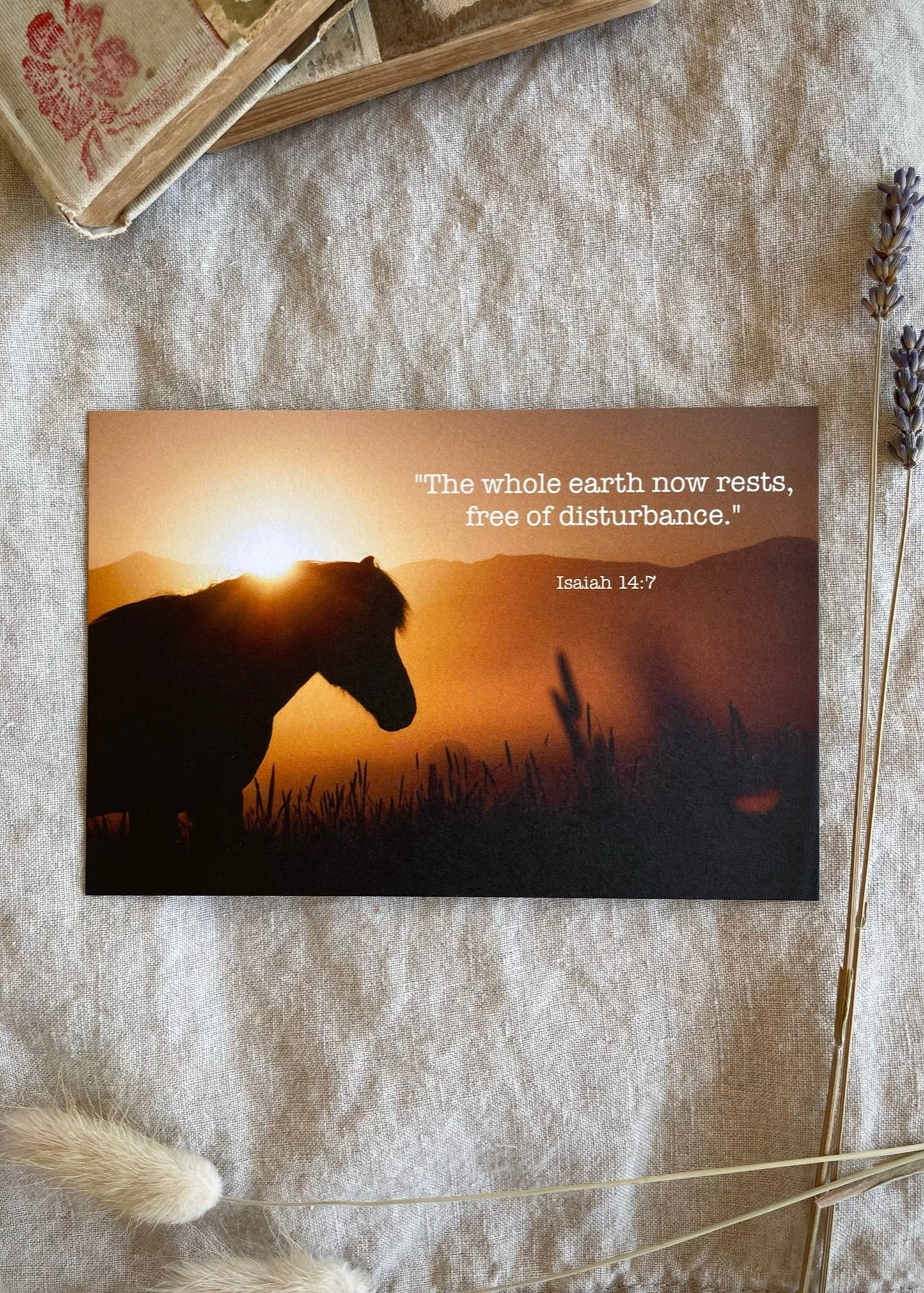 “The Earth Now Rests” Isaiah 14:7 Postcard & Envelope