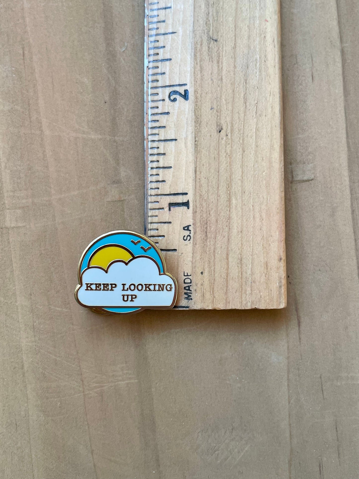 Keep looking up Pin or Magnet